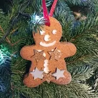 Gingerbread Starman!